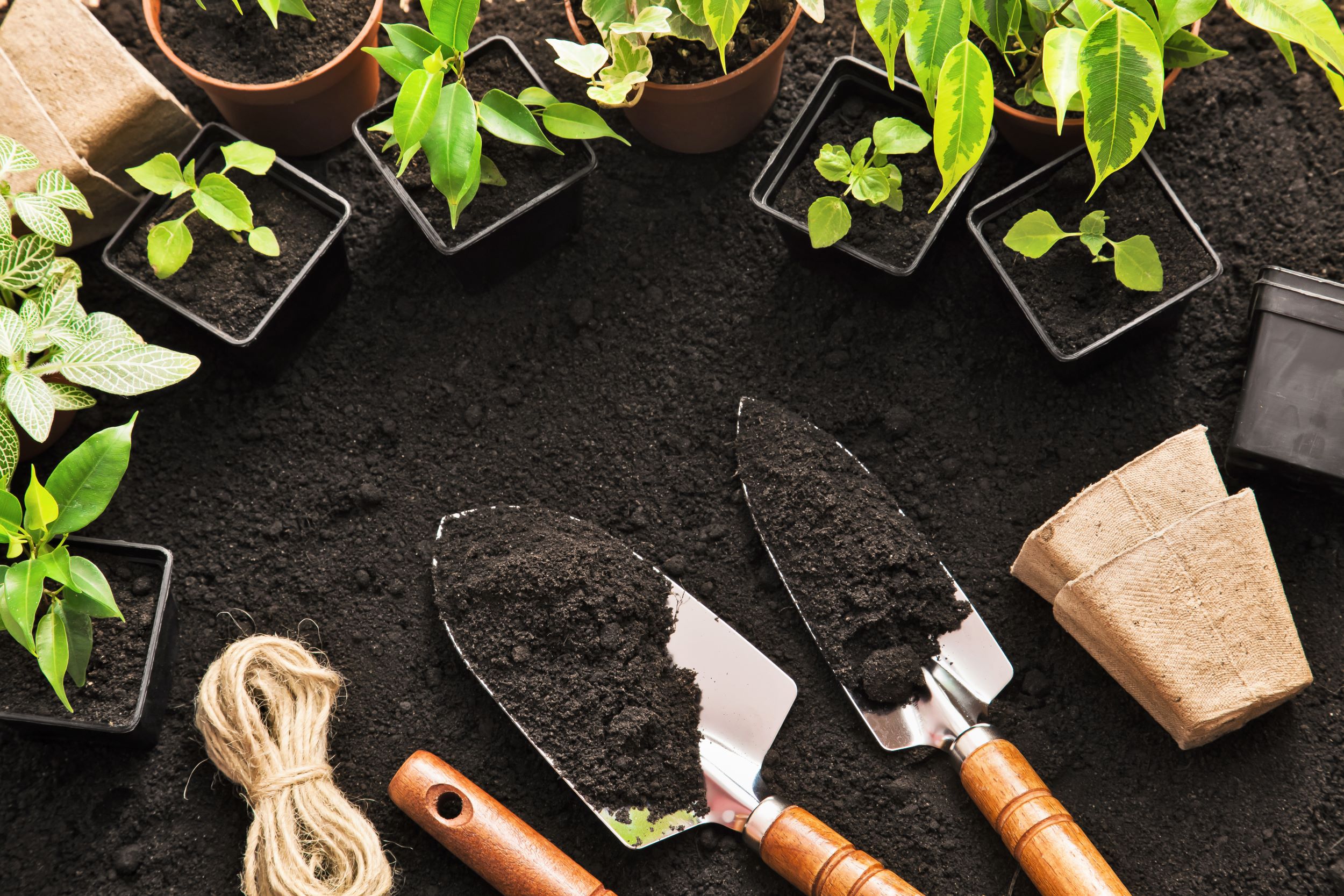 Tips for Storing Your Gardening Equipment in Winter