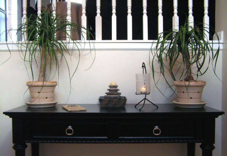 a black table with plants