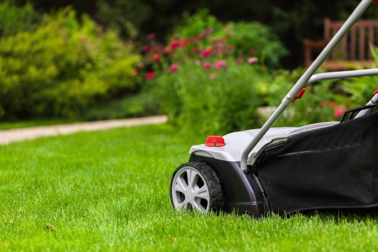 Cutting grass like a pro