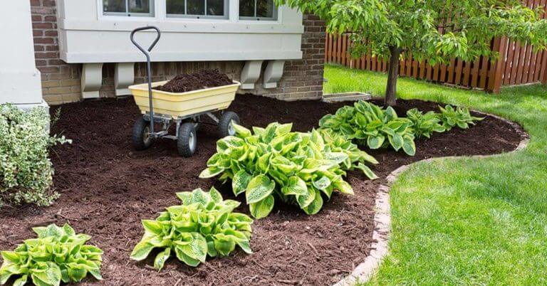 A Well Maintained Garden with Mulch