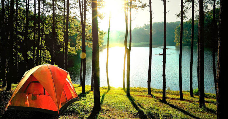 A Tent set up in the woods next to a pond