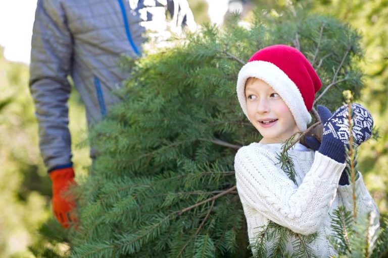 Kid enjoying time at the tree farm