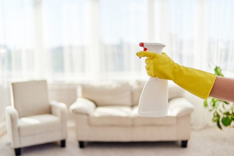 Cleaning the living room with a spray bottle
