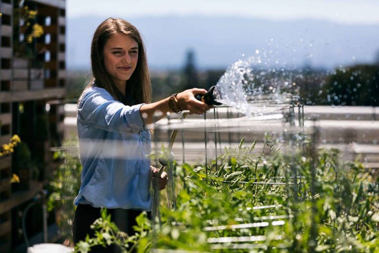 Lady waters her plants