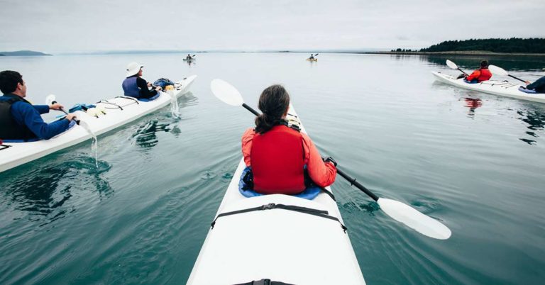 Group of people kayaking through clean water