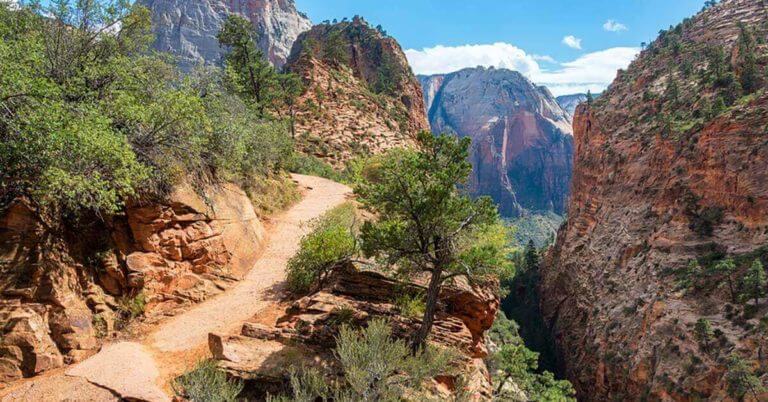 A hiking trail through Zion National Park