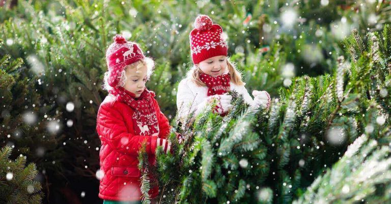 Two little kids help pick out their Christmas tree as snow gently falls.
