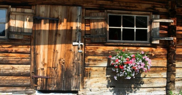 A wooden shed with flowers.