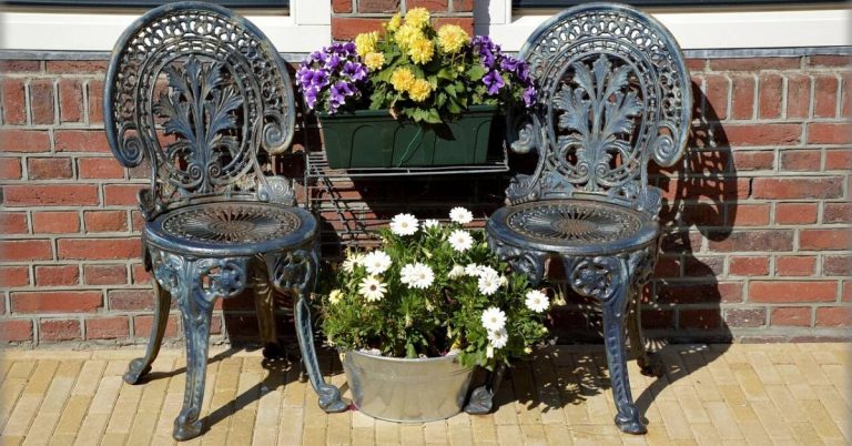 Wrought iron chairs with plants on a patio