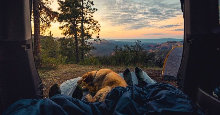 A couple and their dog camping